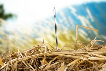Closeup of Needle in haystack on blurred background