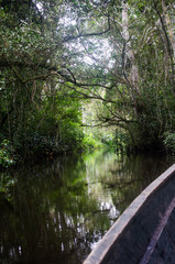 jungle water green peru river waterfall travel vacations trip