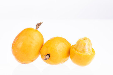 Spondias purpurea - plum, jobo, xocote, plum of huesito, jocote, cocota