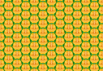 Seamless pineapple texture and pattern, vector