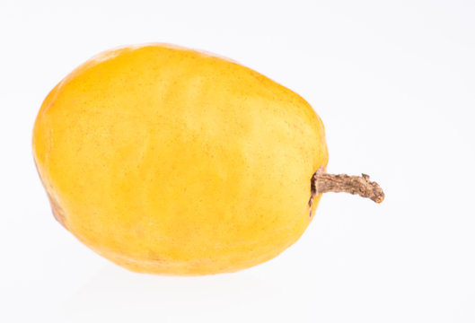 Spondias purpurea - plum, jobo, xocote, plum of huesito, jocote, cocota