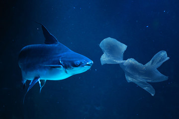 Fototapeta premium Ban plastic pollution on sea. Plastic waste at the bottom of the ocean swims with fish
