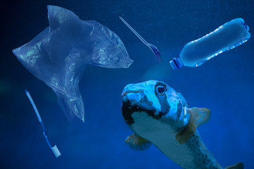 Ban plastic pollution on sea. Plastic waste at the bottom of the ocean swims with fish - 276447498