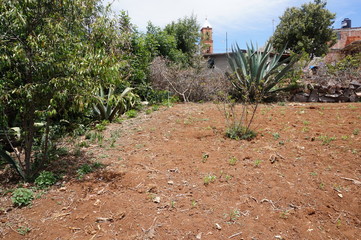 Terreno