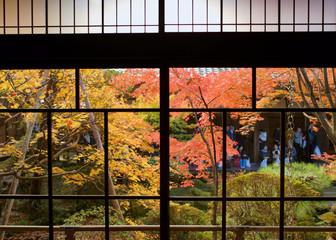 京都 寺の秋たけなわ