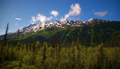 View of Alaska interior taken from the Train between Seward and Denali.  Mountains, green trees, blue sky, and clouds. 