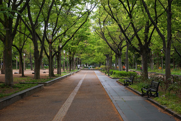 雨の靭公園