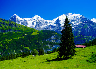 スイスアルプス