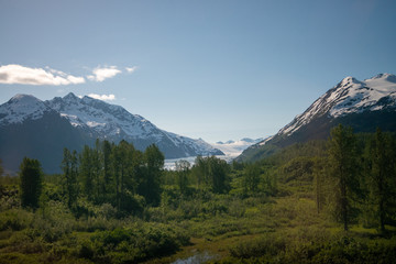 Fototapeta premium Alaska interior landscape from train: trees, mountains, snow, and sunshine.