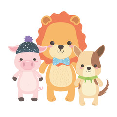 Pig lion and dog cartoon design