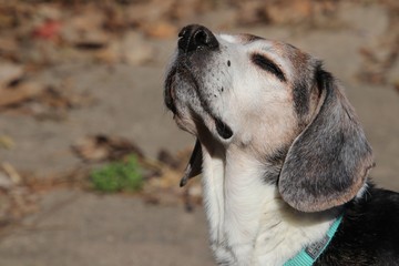 Spring is in the air