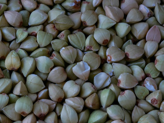 Macro Close-up of Buckwheat Seeds, Fagopyrum esculentum, Food Background