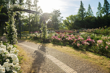 靭公園