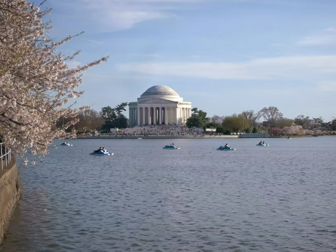 paddle boats on the tidal basin with jefferson memorial