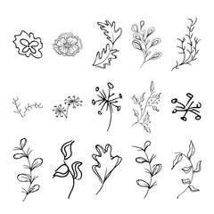 Autumn set floral collection. Big floral collection isolated on white background. Vector isolated illustration. Vector autumn illustration. Linear engraved art. Spring blossom. Silhouette simple