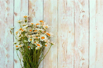Garden camomiles background. Copy space. A bouquet white wild camomiles against the background of old a wooden wall. Beautiful bouquet of wild flowers close up. A cozy card for a congratulation.