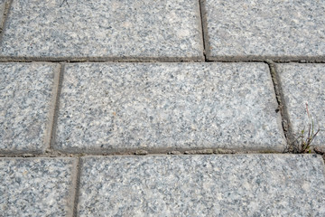 Masonry of blocks of gray granite. Light and dark spots. Grass at the joints.