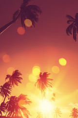 Tropical palm tree with colorful bokeh sun light on sunset sky cloud abstract background.