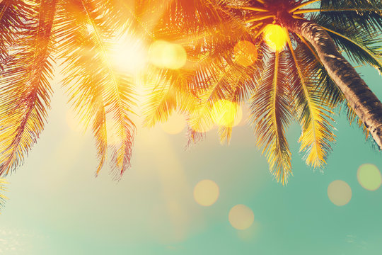 Tropical palm tree with colorful bokeh sun light on sunset sky cloud abstract background.
