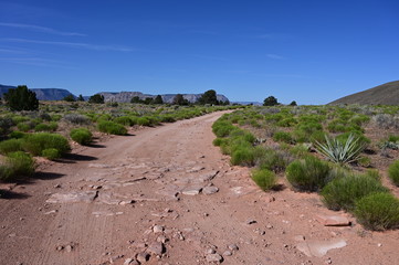 The rugged, unimproved road to Toroweap in Grand Canyon National Park, Arizona.