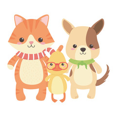 Cat dog and duck cartoon design