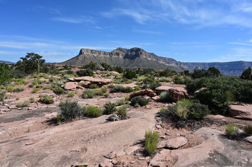 Toroweap Overlook and surroundings in Grand Canyon National Park, Arizona..