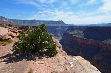 The spectacular view of the inner canyon and the Colorado River from Toroweap Overlook in Grand Canyon National Park, Arizona.