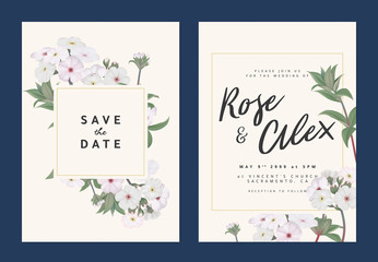 Botanical wedding invitation card template design, Woolly rock jasmine flowers with square frame on light orange background, pastel vintage theme