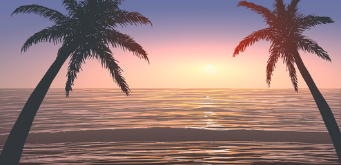 Palm trees on ocean shore at sunset