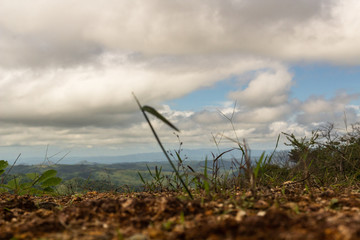 Nature, Guanacaste, Costa Rica.	