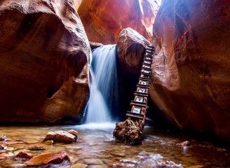 A waterfall and ladder on a hiking trail.
