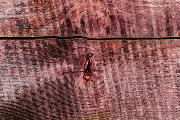 Texture, wood, wall, it can be used as a background. Wooden texture with scratches and cracks