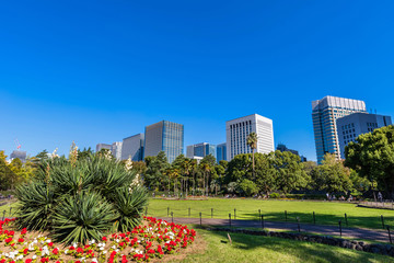 Fototapeta premium 東京 日比谷公園の風景