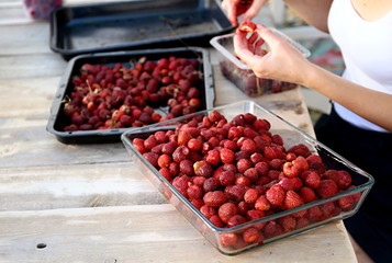 red strawberries ready to be eaten been prepared in a restaurant by a woman stock photo