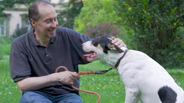 Happy Dog With His Elderly Master, Old Man Gently Caressing, Pat His Dog In A Park