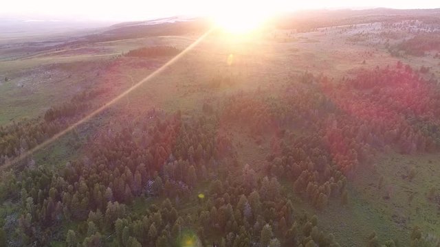 Aerial view of forest landscape in Idaho during sunset flying down towards the trees as the sun disappears behind the mountain.