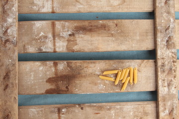 pasta raw feathers on colorful background