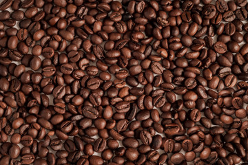 Texture background of coffee beans for design. Coffee grains scattered on the table
