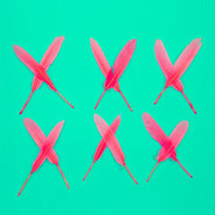 Feathers design concept. Minimal flat lay art