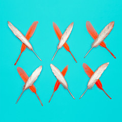 Stylish Feathers design concept. Minimal flat lay art