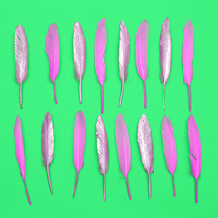 Feathers set design concept. Minimal flat lay art