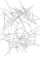 Abstract geometric background. Installed isolated lines. The effect of motion for your design. Black lines on a white background.Dinamic lines or rays.Vector.EPS10