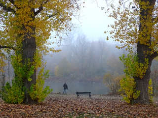 Ein nasskalter trüber Tag im Herbst , und ein letzter Spaziergang am Fluss. 