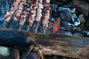 frying fried meat on fire in the woods