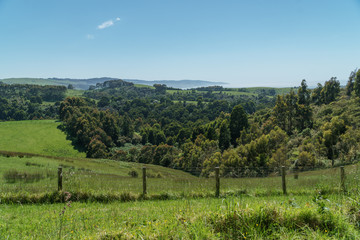 Fototapeta na wymiar Die Landschaft am Cape Otway in Victoria Austrlaien an der Great Ocean Road in sattem grün