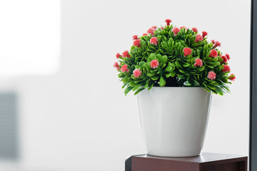 Artificial green plant in a jar on an office table abstract background.