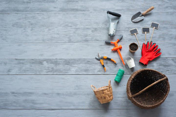 Gardening flat lay background with copy space. Garden tools on a blue wooden floor.