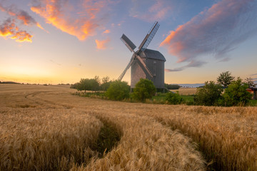 Fototapeta na wymiar wooden windmill on a summer field during sunset