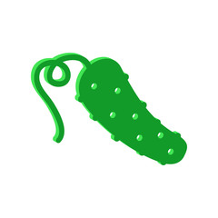 Cucumber icon.Isometric and 3D view.