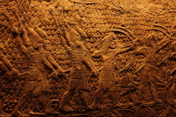 texture of bark of tree